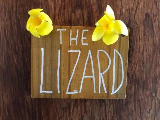 The Lizard - Santa Teresa Beach - 8
