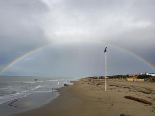 Appartamento 9 residance piviere - Calambrone - 5