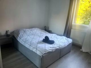 Joli Appartement vue montagne, cosy avec jardin - Bonneville - 7