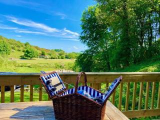 Yorkshire Dales Lodge 11 Premium Ensuite - Richmond - 4