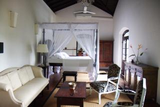 Galle Henna Estate - 4