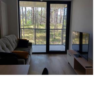 Apartament Sosnowy Shellter Rogowo - Rogowo - 6