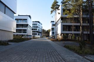 Apartament Sosnowy Shellter Rogowo - Rogowo - 8