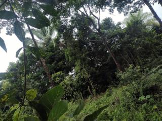 Villa Falian Nido martín pescador - 3