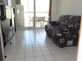 T2 avec loggia vitrée proche plage, climatisé, vue marina - FR-1-472-173 - Sète - 5