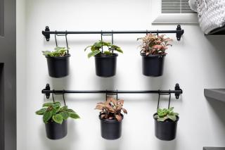 The Cozy Yellow Cottage in Dilworth - 1