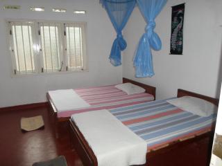 Sinharaja Tranquil Homestay - 9
