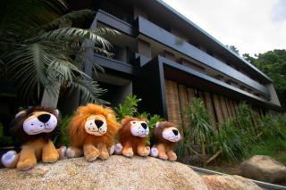 The Funny Lion - El Nido - 5