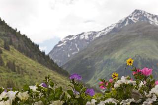 Hotel Garni Rifflsee - 9