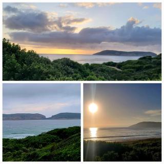 The Paper Fig House - 0