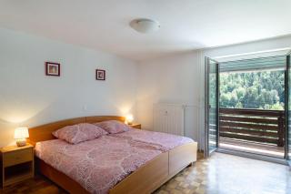 Iglica Apartments - First Floor - Bohinjska Bela - 5