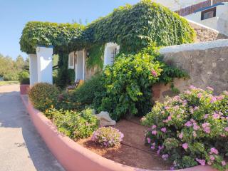 Agroturismo Can Marquet - Adults Only - Santa Gertrudis de Fruitera - 7