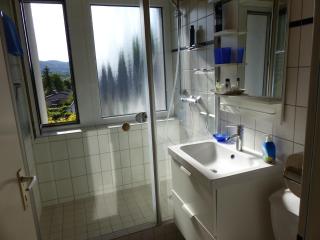 ferienwohnung-Bergblick - Bad Harzburg - 7