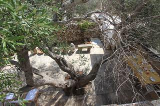 Villetta Florio - Gagliano del Capo - 3