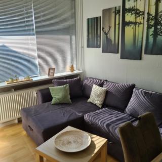 Appartement 7 101 - Goslar - 8