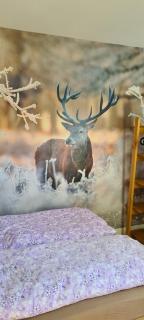 Appartement 7 101 - 6