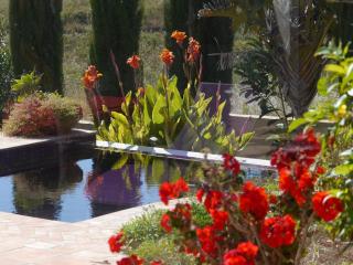 Monte D´Sancho - 2