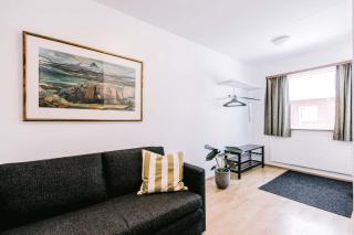 Eldá apartments - Myvatn - 7