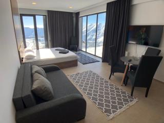 New Gudauri View Hotel - Goedaoeri - 4