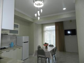 Lovely, bright and cozy 2 room flat in the heart of Tbilisi, near Ortachala bus station - 7