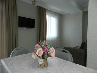 Lovely, bright and cozy 2 room flat in the heart of Tbilisi, near Ortachala bus station - 9