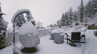 Baan by Snow City Farm - 1