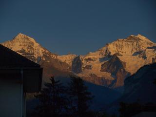 Hotel Chalet Swiss - Interlaken - 8