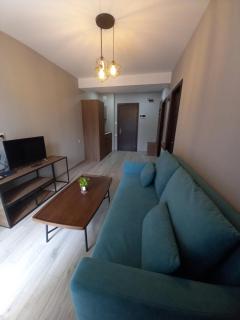 Bakuriani Crystal Loft 406 - Bakuriani - 9