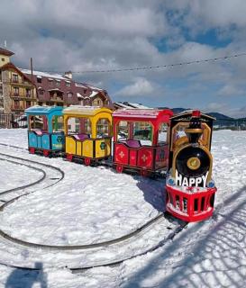 Bakuriani Crystal Loft 406 - 7