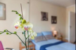 Green apartment SLAVIJA - 8