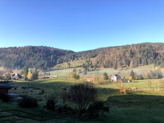 Schwarzwald Loft Menzenschwand - Menzenschwand - 4