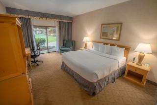 Piccadilly Inn Airport - Fresno - 9