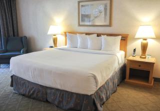 Piccadilly Inn Airport - Fresno - 7
