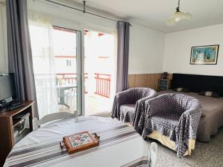 Appartement T1 lumineux avec balcon ensoleillé et parking, 2 couchages, Cambo-les-Bains - FR-1-495-16 - Cambo-les-Bains - 8