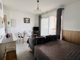 Appartement T1 lumineux avec balcon ensoleillé et parking, 2 couchages, Cambo-les-Bains - FR-1-495-16 - Cambo-les-Bains - 5