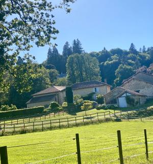 Domaine de Montmery sa piscine son jardin ses espaces - Ambazac - 9