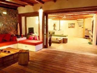 Propiedad de alto standing con vista al mar, piscina, tenis, hasta 12 personas - Las Terrenas - 1