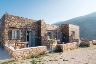 Oniropagida - Apollonia - 8