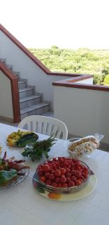 Villa Mediterranea tra gli ulivi - Ostuni - 2