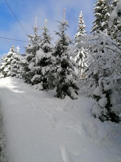 Cabana Rânca - Ranca - 3
