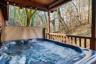 Bear Nakid - Pigeon Forge - 9