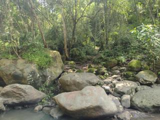 Villa Falian Nido Colibrí - 7