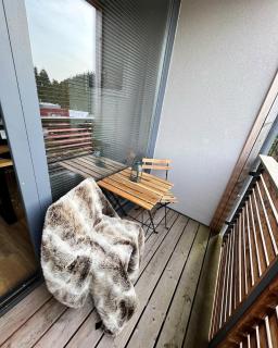 U jelena Harrachov - rodinný apartmán u lesa s garáží - Harrachov - 1