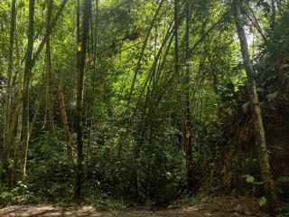 Villa Falian Nido martín pescador - 7