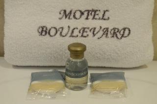 Hotel Boulevard Mexicali - Mexicali - 9