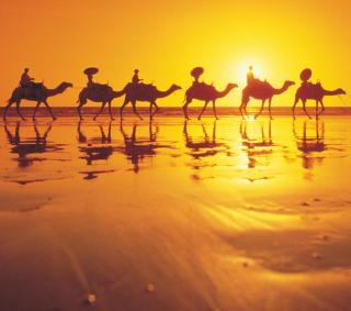 Mantra Frangipani Broome - Broome - 6