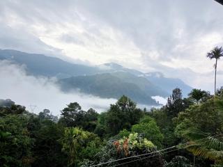 La casa de Alexa homestay - Idukki - 3