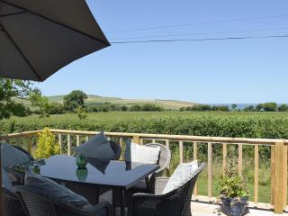 Tranquillity - Dinas - 9