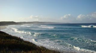 Ocean Beach Hideaway - 8