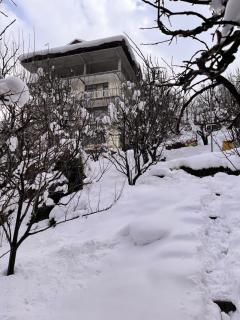 La Heim Hostels - Manāli - 1